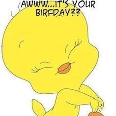 Happy Birthday Brother : Happy Birthday Runner