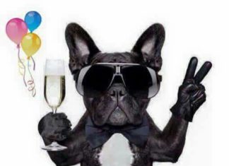 Happy Birthday Brother : Happy Birthday Tony!