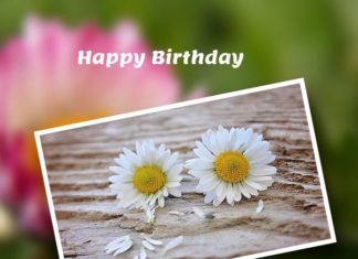 Happy Birthday Brother : HappyBirthdayBrother05