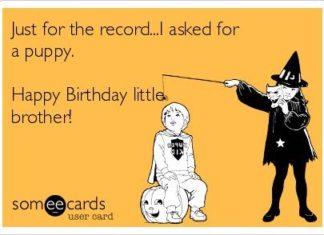 Happy Birthday Brother : Just for the record…I asked for a puppy. Happy Birthday little brother!