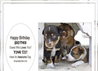 Happy Birthday Brother : happy birthday brother from sister