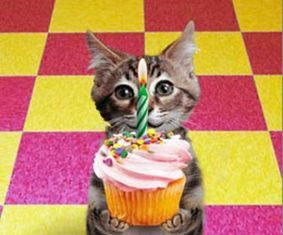 Happy Birthday Wiches : BON ANNIVERSAIRE SELMAC …