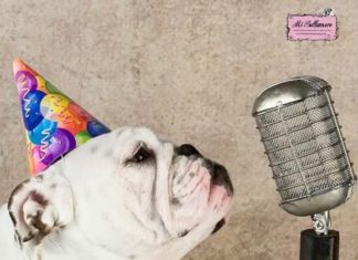 Happy Birthday Wiches : Birt