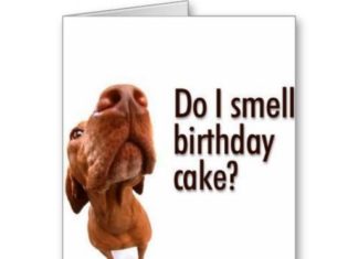 Happy Birthday Wiches : Birthday Card #3