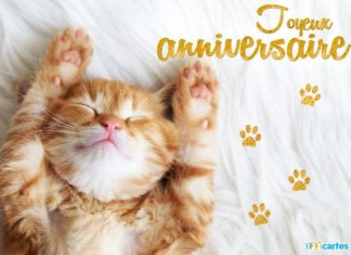 Happy Birthday Wiches : Carte anniversaire le chat qui dort