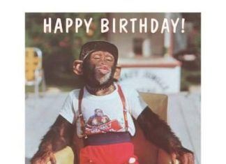 Happy Birthday Wiches : Happy Birthday, Dressed Chimp in Armchair–Art Print