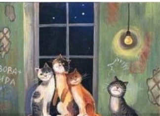 Happy Birthday Wiches : Happy Birthday to You #happybirthdayquotes