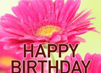 Happy Birthday Wiches : Lovely Pink Daisy Happy Birthday Card