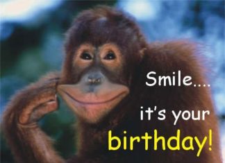 Birthday Inspiration: (notitle)