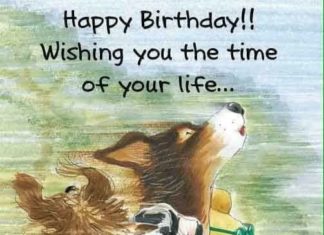 Happy Birthday Wiches : birthday dogs