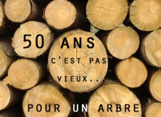 Happy Birthday Wiches : carte anniversaire 50 ans – Anniversaire 50 ans : citation, texte, cadeau, tshir…