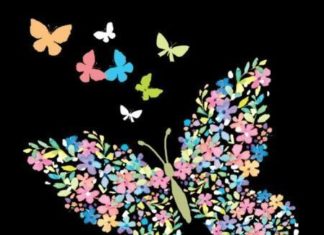 Happy Birthday Wiches : Happy Birthday