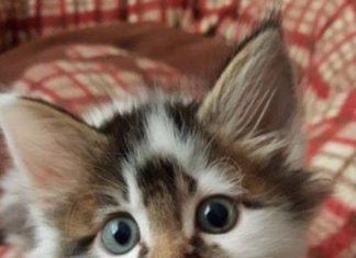 Happy Birthday Wiches : Happy Birthday;-)