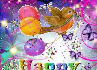 Happy Birthday Brother : Happy Birthday