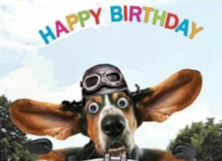 Happy Birthday Wiches : Happy birthday