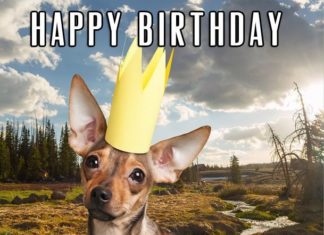 Happy Birthday Brother : 50+ Best Funny Birthday Wishes for Men – Make a Funny Bday