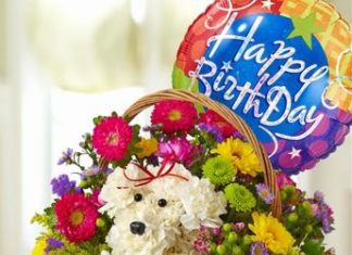 Happy Birthday Brother : Brother bday wishes Happy Birthday