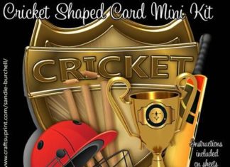 Happy Birthday Brother : Cricket Shaped Card Mini Kit on Craftsuprint designed by Sandie Burchell – A bea…