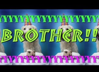 Happy Birthday Brother : HAPPY BIRTHDAY BROTHER! – EPIC CAT Happy Birthday Song – YouTube