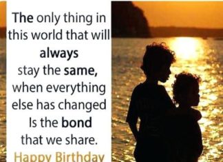 Happy Birthday Brother : Happy Birthday Brother : Enchanting happy birthday little brother Illustrations,…