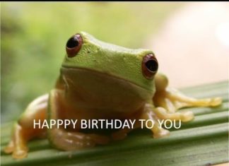 Happy Birthday Brother : Happy Birthday to You – Tango the Tree Frog – YouTube