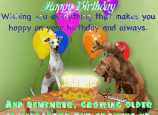 Happy Birthday Brother : Happy Birthday to our Paheli Queen ~ Flutterby! Description from india-forums.co…