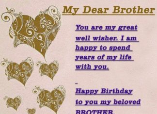 Happy Birthday Brother : It will be a great pleasure to spend your time with your brother on his birthday…