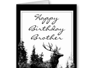 Happy Birthday Brother : =>>Save on Happy Birthday Brother Vintage Stag, Deer Greeting Cards Happy Birthd…