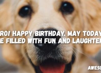 Happy Birthday Brother : happy birthday brother 1