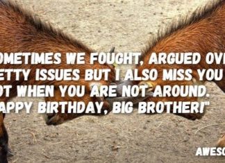 Happy Birthday Brother : happy birthday brother 24