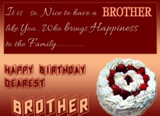 Happy Birthday Brother : it is so nice to have a brothers like you… who brings happiness to the family….