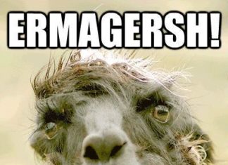 Happy Birthday Wiches : 20 Funny Birthday Quotes #birthday #Quotes #birthdayquotes