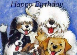 Happy Birthday Wiches : Birthday with dogs