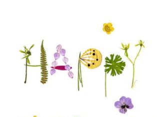 Happy Birthday Wiches : Carte fleur herbier Joyeux Anniversaire Carte anniversaire