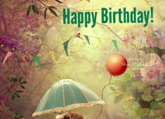 Happy Birthday Wiches : Cute