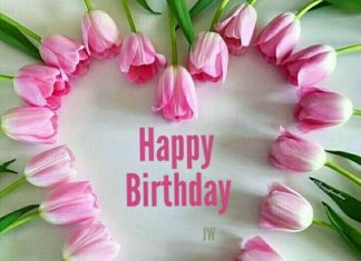 Birthday Quotes : (notitle)