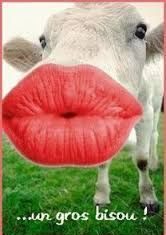 Happy Birthday Wiches : Résultat de recherche d'images pour “joyeux anniversaire 47 ans”