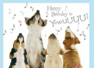 Happy Birthday Wiches : Singing dogs