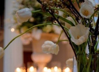 Happy Birthday Wiches : White tulips