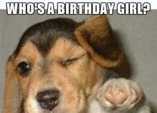 Happy Birthday Wiches : cdn.meme.am instances 58952890 whos-a-birthday-girl-youre-a-birthday-girl.jpg