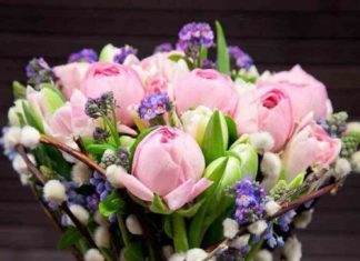 Happy Birthday Wiches : fleurs mariage romantiques – un bouquet de tulipes en rose pâle et branches de …