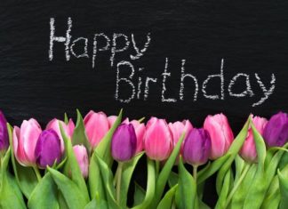 Happy Birthday Wiches : joyeux anniversaire comment choisir la décoration