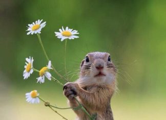 Happy Birthday Wiches : verjaardag