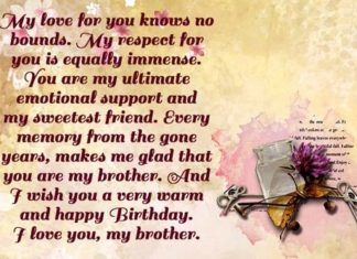 Happy Birthday Brother : birthday wishes for brother