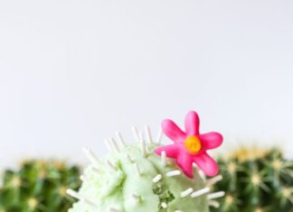 Birthday Cake : 30th Birthday Party Ideas: Ice Cream Theme, Invitations, More | Brit + Co