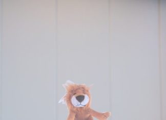 Birthday Inspiration: Löwentorte, vierter Geburtstag, Kindergeburtstag