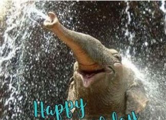 Happy Birthday Brother : Funny birthday wishes for brother fun. Some people have wealth. Some have beauty…