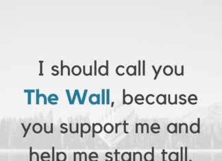 Happy Birthday Brother : Happy Birthday Brother Funny Quotes