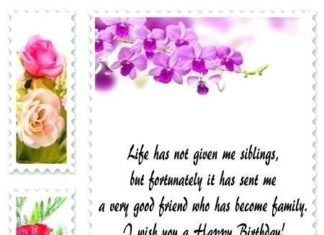 Happy Birthday Brother : Happy Birthday Brother : Happy Birthday Brother : Adorable happy birthday phrase…