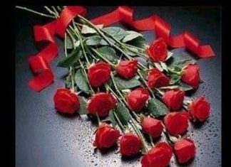 Happy Birthday Brother : Happy Birthday Brother : Happy Birthday Brother : Happy Birthday askbirthday.co…